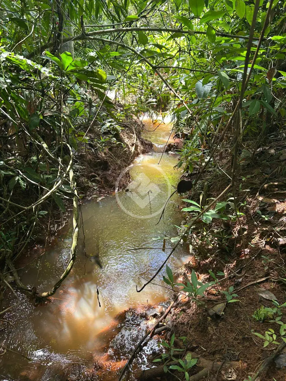 Imagem 6 - Chácara em Zona Rural, Bela Vista de Goiás - GO