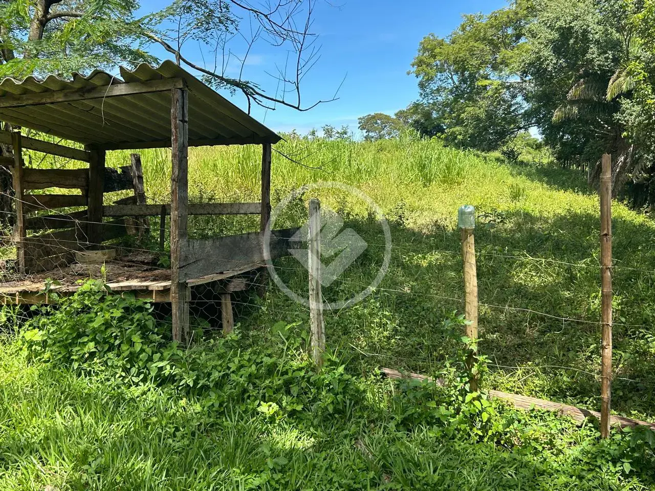 Image 46 - Chácara em Zona Rural, Bela Vista de Goiás - GO