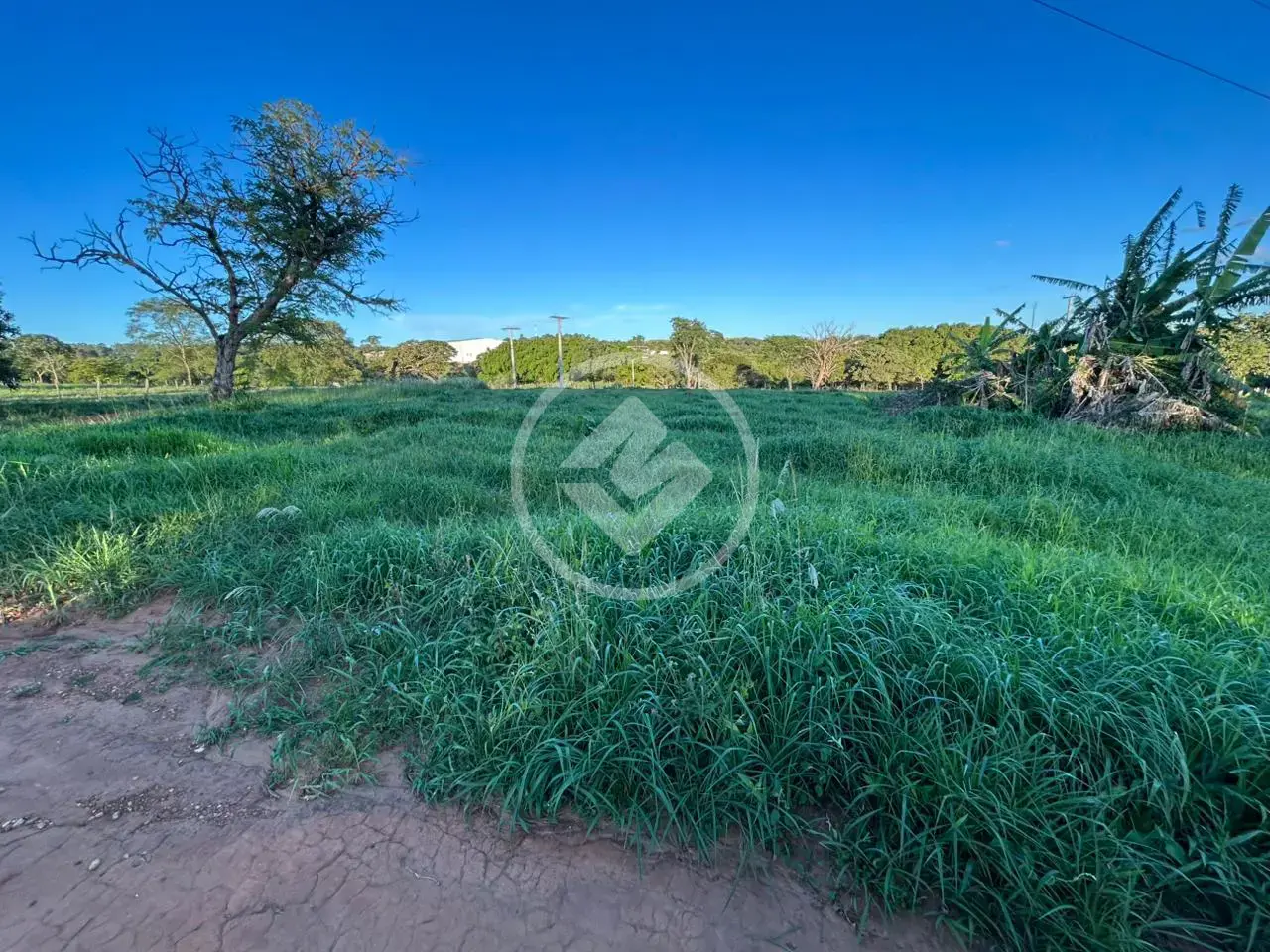 Imagem 1 - Chácara em Zona Rural, Hidrolândia - GO