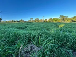 Chácara Zona Rural, Hidrolândia - GO — foto 2