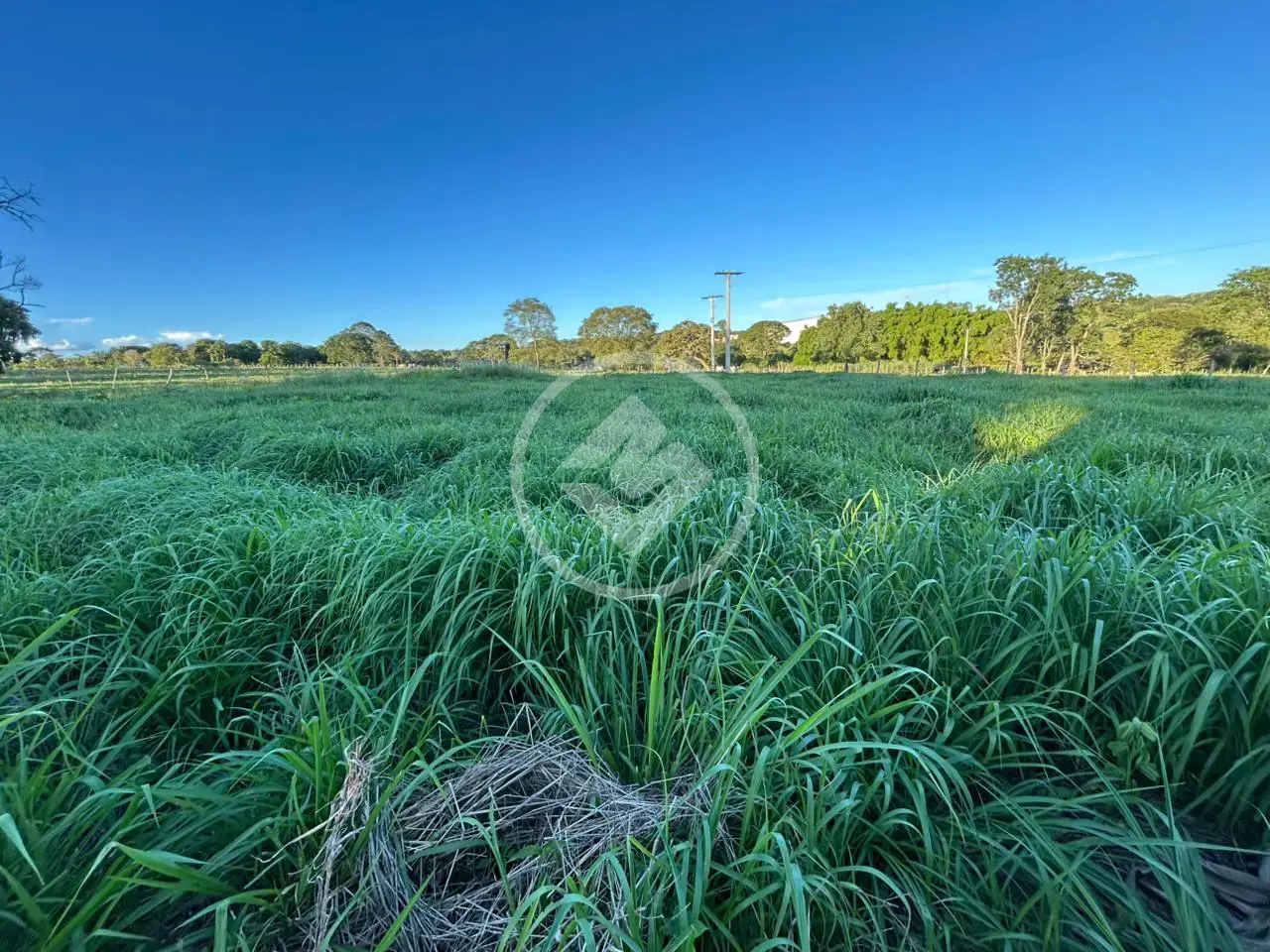 Imagem 1 - Chácara em Zona Rural, Hidrolândia - GO