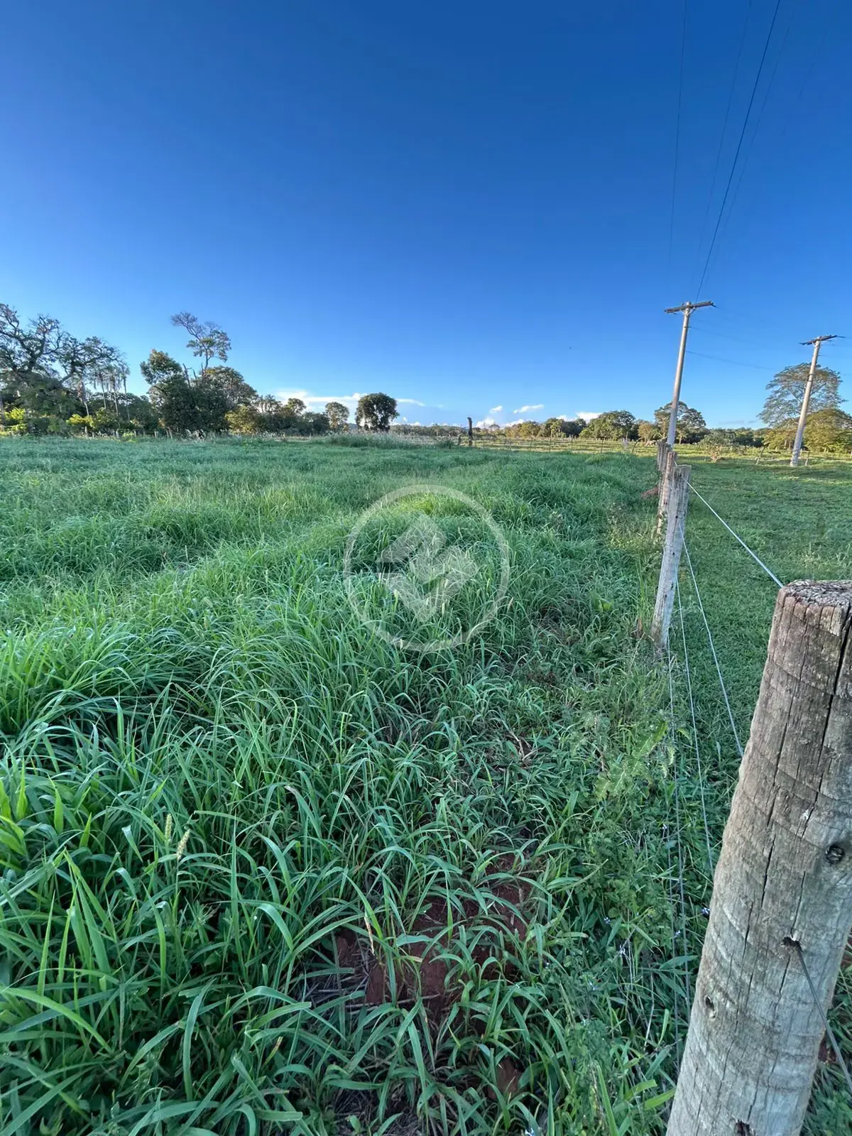 Imagem 2 - Chácara em Zona Rural, Hidrolândia - GO
