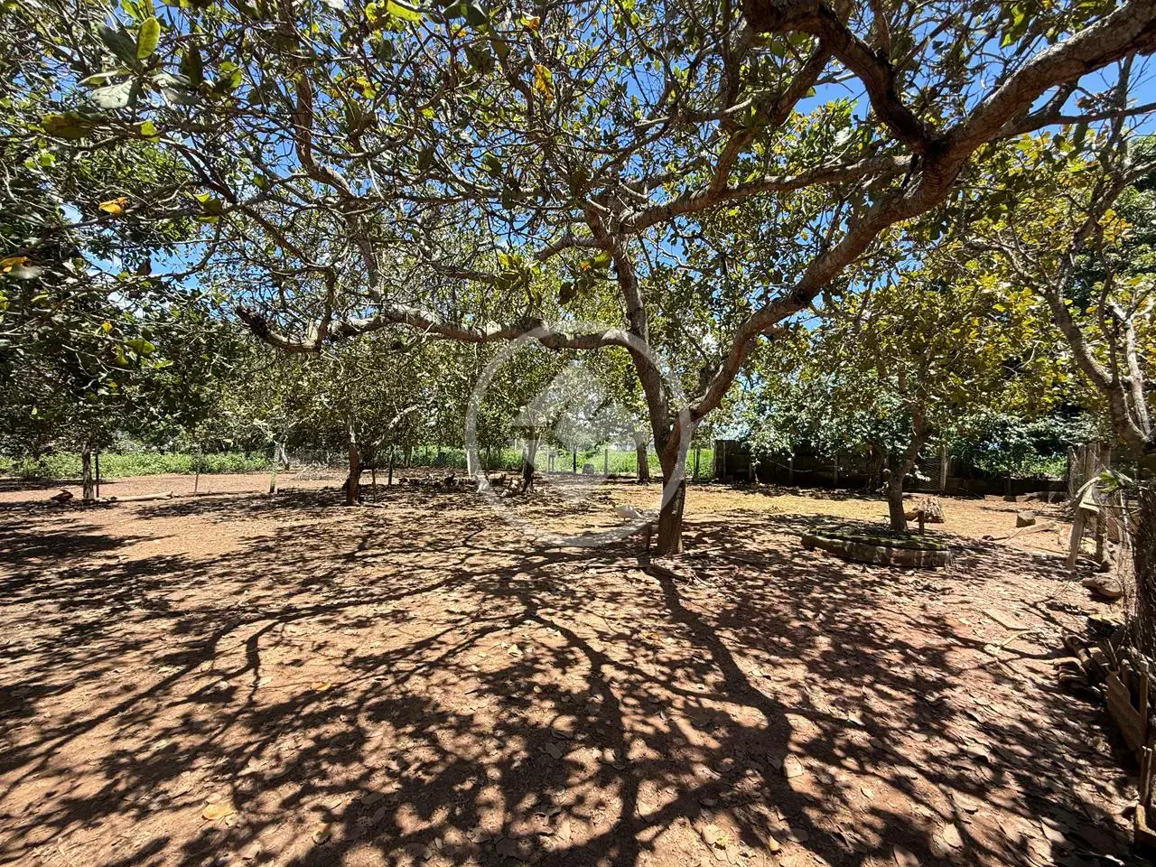 Imagem 1 - Chácara em Zona Rural, Hidrolândia - GO