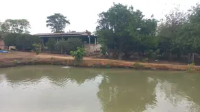 Chácara Zona Rural Goianápolis, Goianápolis - GO — foto 1