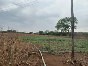 Chácara Zona Rural Goianápolis, Goianápolis - GO — foto 2