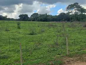 Imagem 5 - Chácara em Zona Rural Goianápolis, Goianápolis - GO