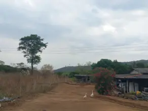Imagem 6 - Chácara em Zona Rural Goianápolis, Goianápolis - GO