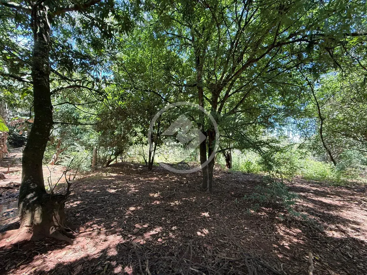 Image 23 - Chácara em Centro Hidrolândia, Hidrolândia - GO