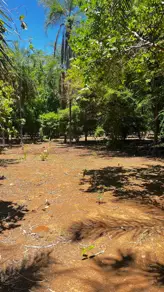 Imagem 4 - Chácara em Mansões Riviera Parque, Hidrolândia - GO