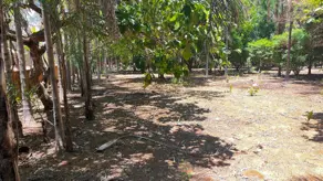 Imagem 5 - Chácara em Mansões Riviera Parque, Hidrolândia - GO