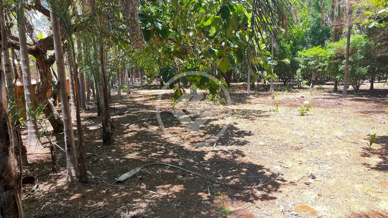Imagem 5 - Chácara em Mansões Riviera Parque, Hidrolândia - GO