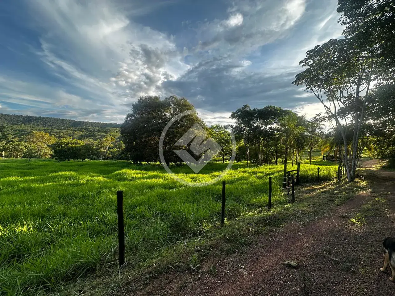 Imagem 1 - Chácara em Região bom sucesso, Hidrolândia - GO