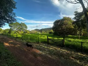 Chácara Região bom sucesso, Hidrolândia - GO — foto 2