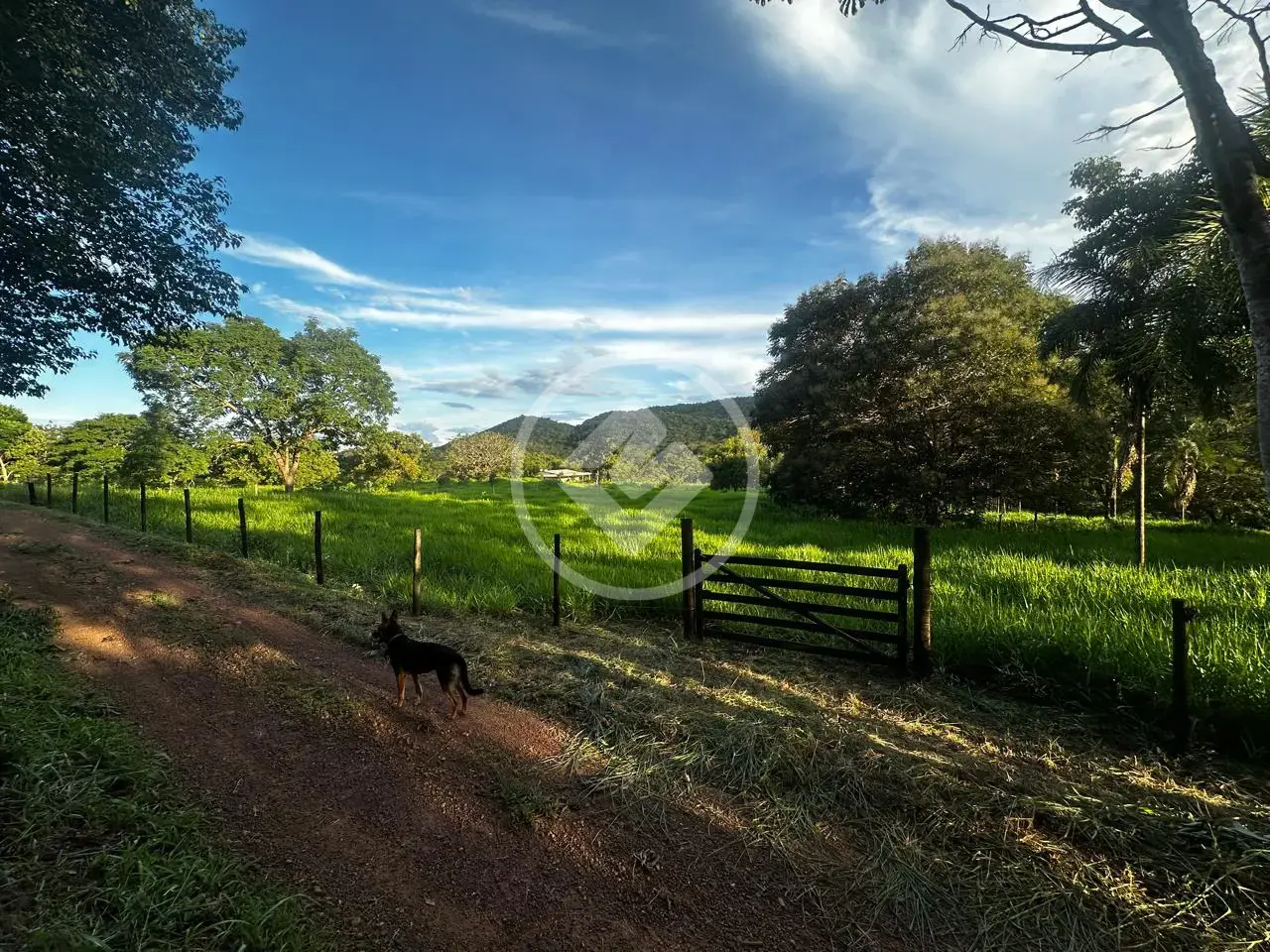 Image 2 - Chácara em Região bom sucesso, Hidrolândia - GO