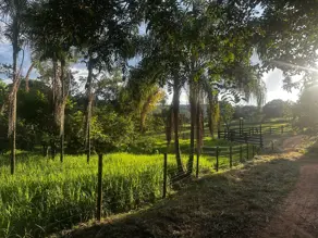 Imagem 2 - Chácara em Região bom sucesso, Hidrolândia - GO