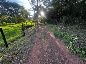 Imagem 4 - Chácara em Região bom sucesso, Hidrolândia - GO