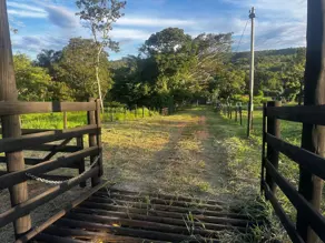 Imagem 5 - Chácara em Região bom sucesso, Hidrolândia - GO