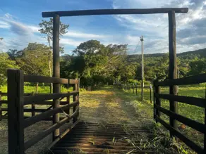 Imagem 6 - Chácara em Região bom sucesso, Hidrolândia - GO