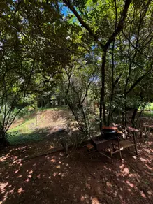 Imagem 2 - Chácara em Zona Rural, Professor Jamil - GO