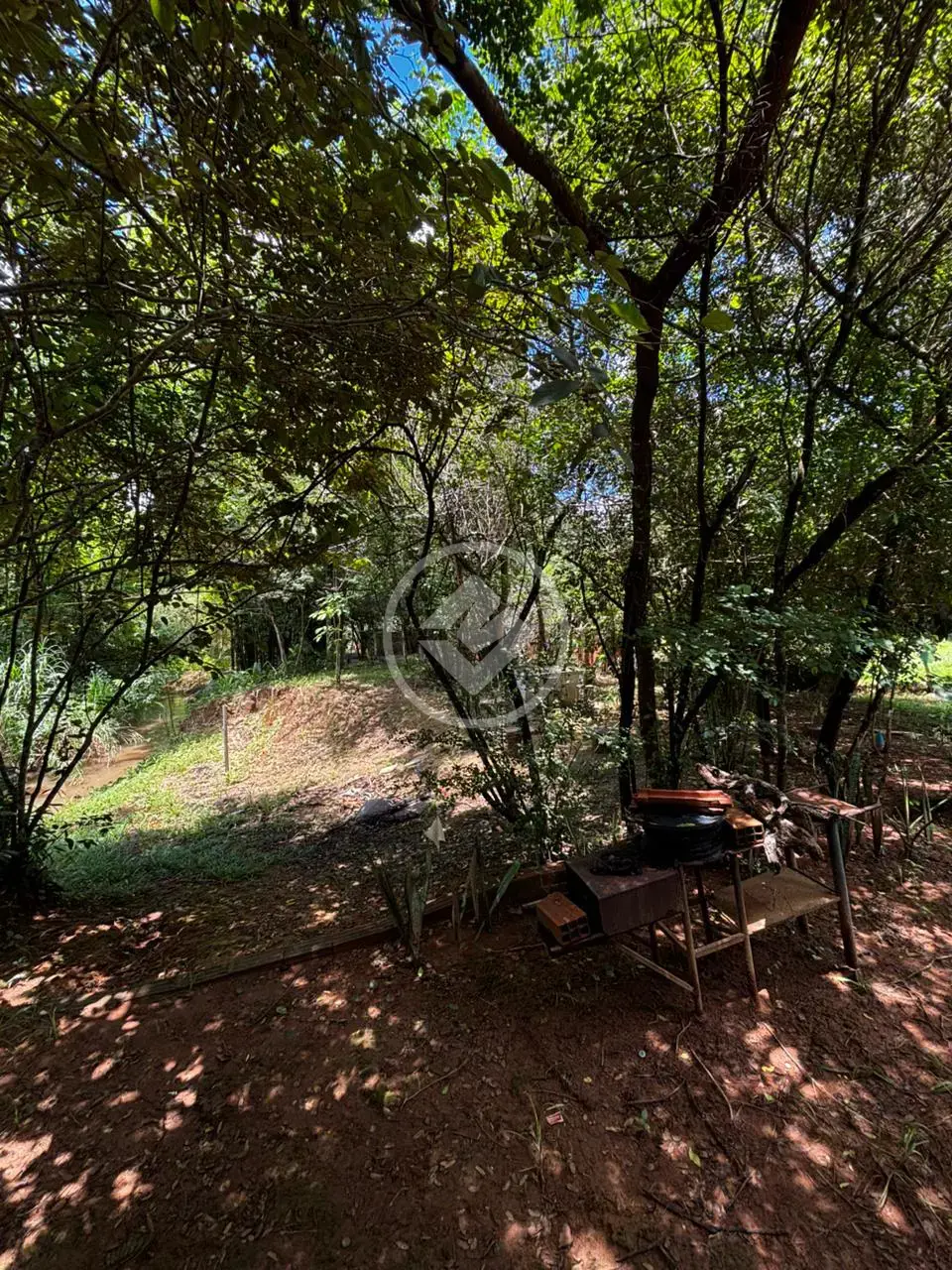 Imagem 2 - Chácara em Zona Rural, Professor Jamil - GO