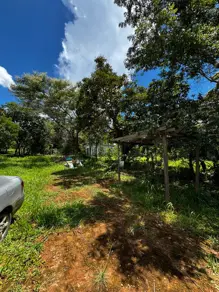 Imagem 4 - Chácara em Zona Rural, Professor Jamil - GO