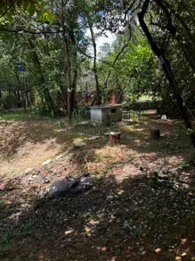 Imagem 6 - Chácara em Zona Rural, Professor Jamil - GO