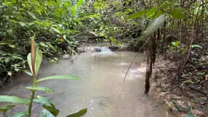 Imagem 2 - Fazenda em Zona Rural, São Miguel do Passa Quatro - GO
