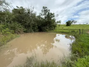 Fazenda Zona Rural, São Miguel do Passa Quatro - GO — foto 2