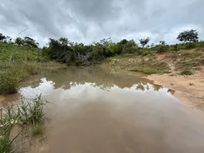 Imagem 5 - Fazenda em Zona Rural, São Miguel do Passa Quatro - GO