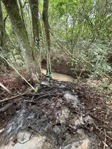 Imagem 4 - Fazenda em Zona Rural, São Miguel do Passa Quatro - GO