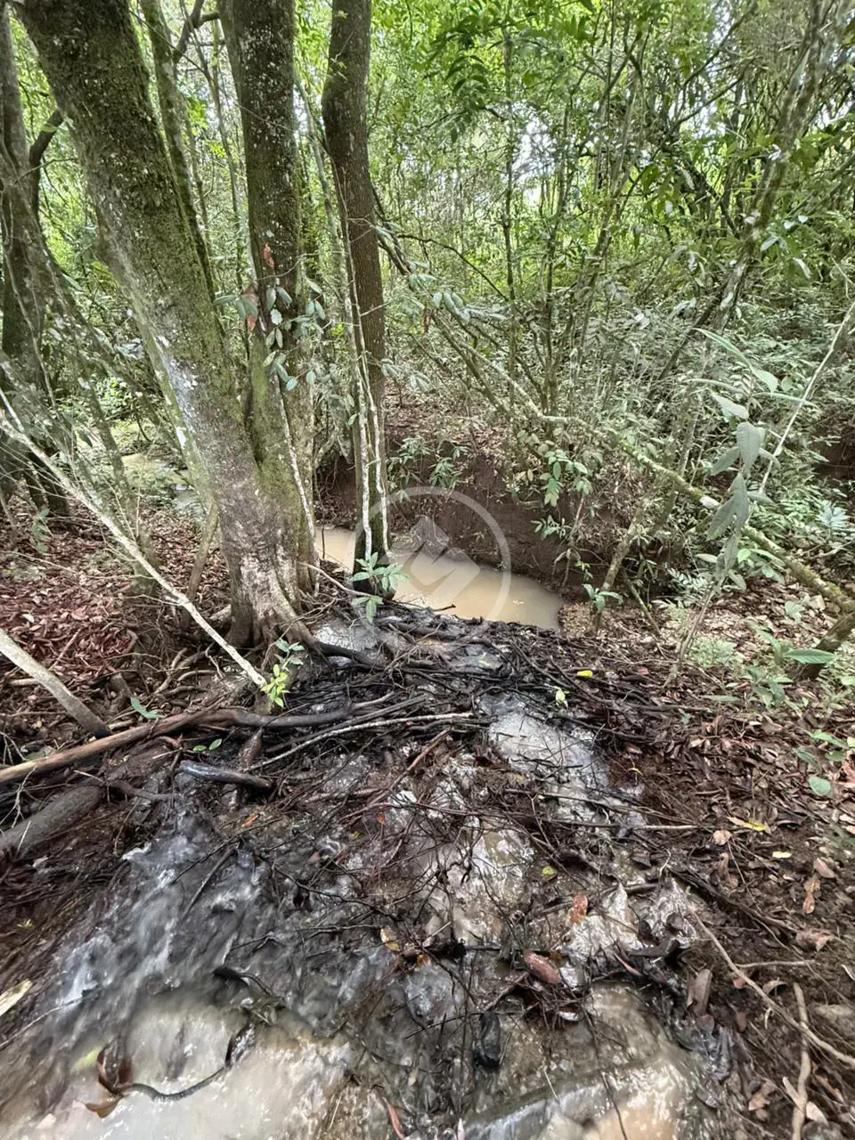 Imagem 4 - Fazenda em Zona Rural, São Miguel do Passa Quatro - GO