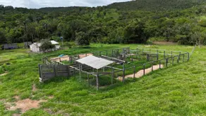 Imagem 3 - Fazenda em Zona Rural, São Miguel do Passa Quatro - GO
