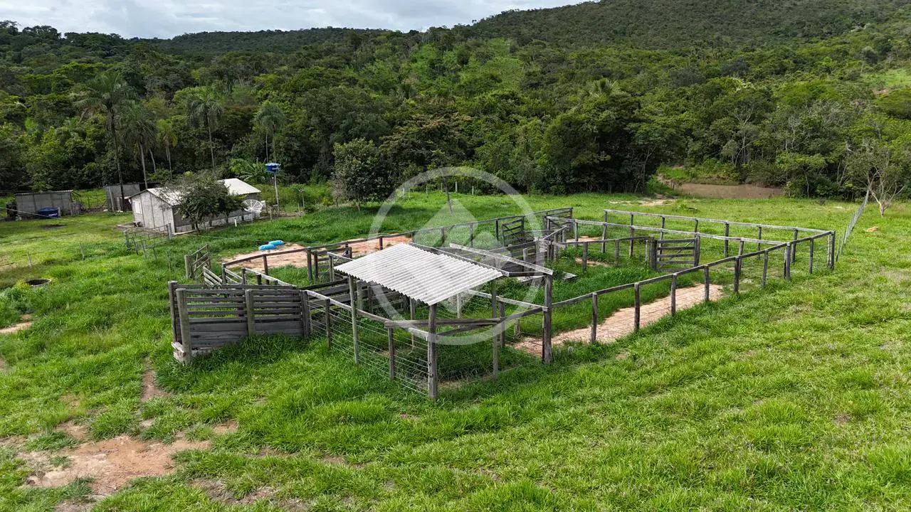 Imagem 3 - Fazenda em Zona Rural, São Miguel do Passa Quatro - GO