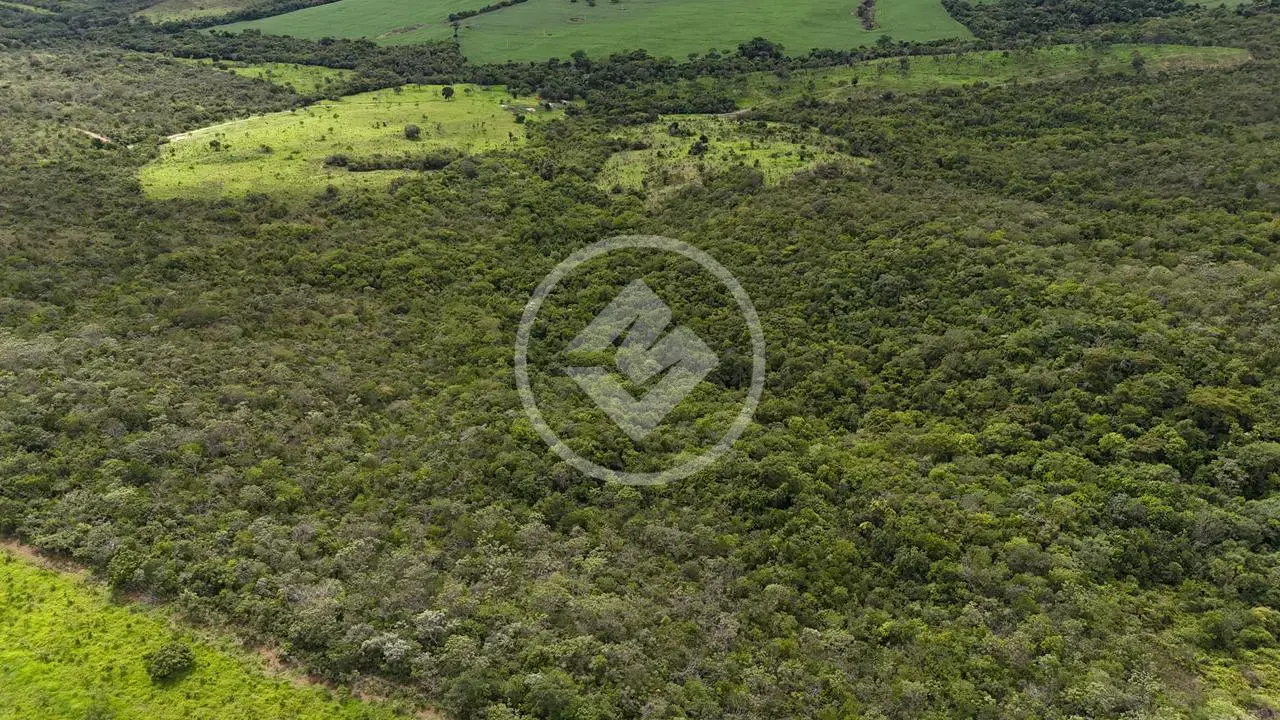 Image 11 - Fazenda em Zona Rural, São Miguel do Passa Quatro - GO