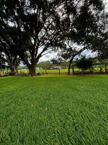 Imagem 2 - Chácara em santa maria, Hidrolândia - GO