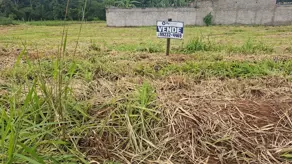 Terreno Setor Benjamin, Hidrolândia - GO — foto 1