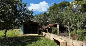 Imagem 3 - Fazenda em Zona Rural, Jaraguá - GO