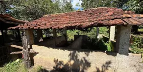 Imagem 4 - Fazenda em Zona Rural, Jaraguá - GO