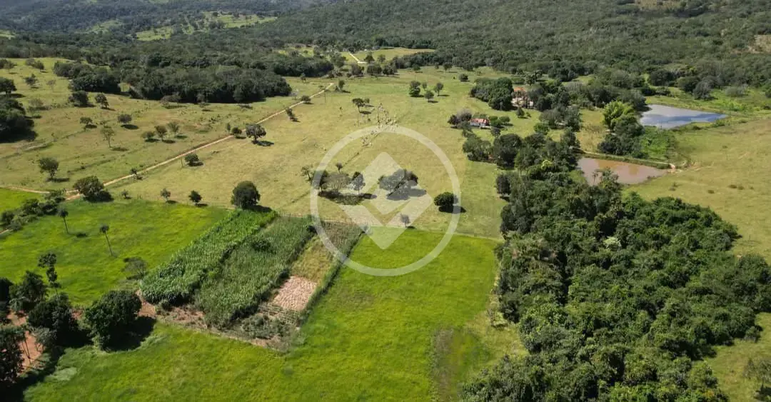 Image 15 - Fazenda em Zona Rural, Jaraguá - GO
