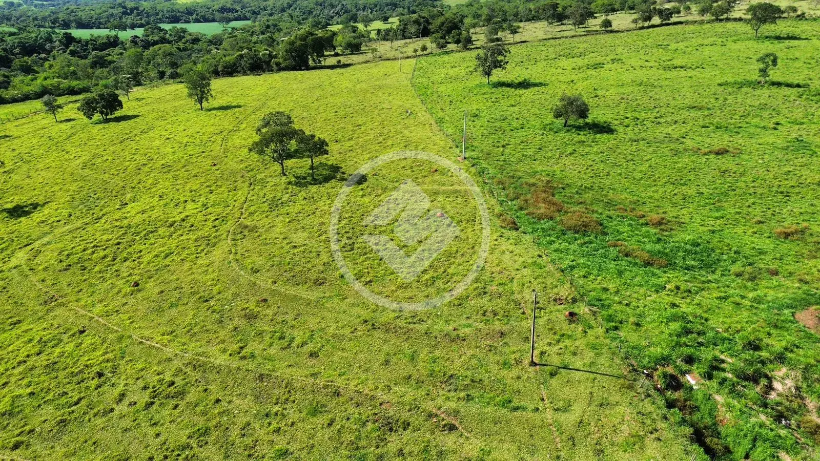 Image 2 - Fazenda em Zona Rural Hidrolandia, Hidrolândia - GO