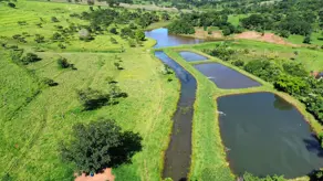 Imagem 2 - Fazenda em Zona Rural Hidrolandia, Hidrolândia - GO