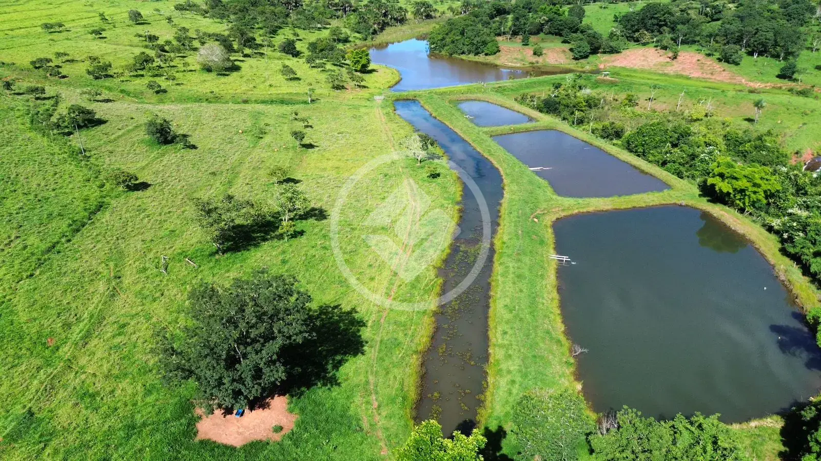 Imagem 1 - Fazenda em Zona Rural Hidrolandia, Hidrolândia - GO