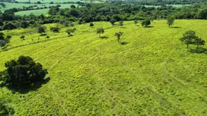 Imagem 3 - Fazenda em Zona Rural Hidrolandia, Hidrolândia - GO