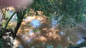 Imagem 3 - Chácara em Parque Las Vegas, Bela Vista de Goiás - GO