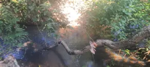Imagem 6 - Chácara em Parque Las Vegas, Bela Vista de Goiás - GO
