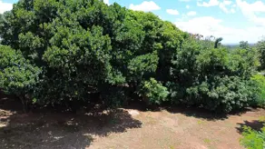 Imagem 6 - Casa Condomínio em Condomínio Terra do Boi ll, Hidrolândia - GO