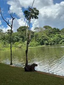 Imagem 2 - Terreno em Condominio Águas da Serra, Hidrolândia - GO