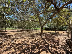 Imagem 5 - Chácara em Mansões Riviera Parque, Hidrolândia - GO