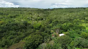 Imagem 4 - Fazenda em Zona Rural Hidrolandia, Hidrolândia - GO