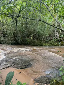 Fazenda Zona Rural Hidrolandia, Hidrolândia - GO — foto 2